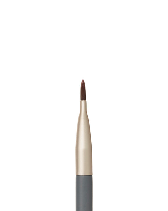 Lip Brush
